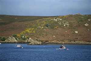 British Seaside Villages Prints: Bryer, Isles of Scilly