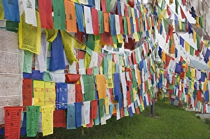 Buddhist Prayer Flags India Prints: Buddhist prayer flags