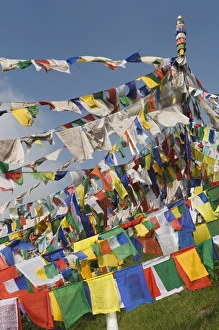 Buddhist Prayer Flags Print, McLeod Ganj, India