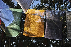 Buddhist prayer flags hanging near the Mahakal Buddhist Monastery, Observatory Hill Buddhist prayer flags hanging near the Mahakal Buddhist Monastery, Observatory Hill