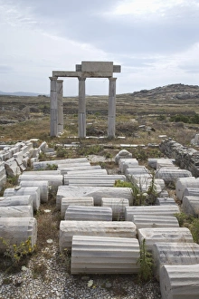 World Heritage Site Greece Prints: Building of the Poseidoniasts