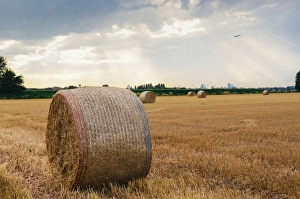 European Farmland Images Prints: Bundles of hay, with dramatic rays of light, on the outskirts of Milan, Lombardy