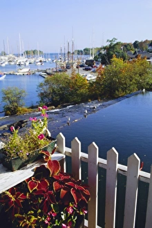 Prints of Camden Harbor, Maine, USA Camden Prints: Camden Harbor Print - Maine Coastline Scene