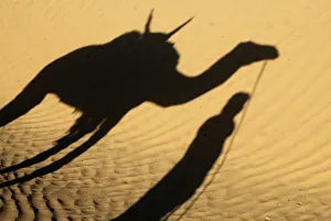 North African Dunes Prints: Camel drivers shadow in the Sahara desert, near Douz, Kebili, Tunisia, North Africa