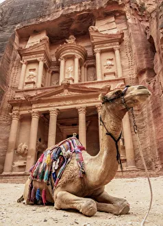 Camel in front of The Treasury (Al-Khazneh), Petra, UNESCO World Heritage Site, Ma'an Camel in front of The Treasury (Al-Khazneh), Petra, UNESCO World Heritage Site, Ma'an