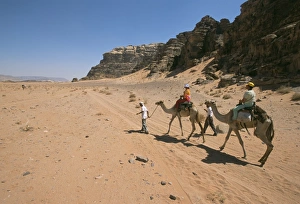 Wadi Rum Jordan Prints: Camels in the desert