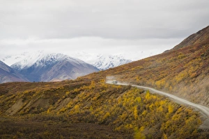 Camper buses driving into the heart of Denali National Park, Alaska, United States of America Camper buses driving into the heart of Denali National Park, Alaska, United States of America