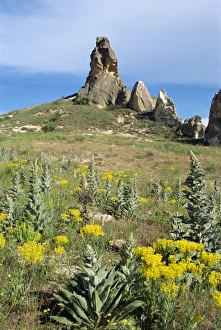 Contemporary Travel Destinations Prints: Cappadocia