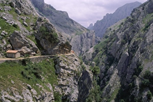 Limestone Rock Formations Europe Prints: The Cares Gorge