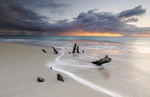West Indies Coastal Scene Prints: Caribbean sunset frames tree trunks on Ffryes Beach, Antigua, Antigua and Barbuda