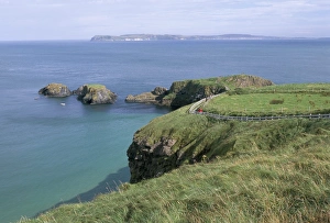 Carrick-a-Rede Rope Bridge Print