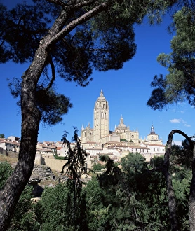 Christian Landmarks Europe Prints: The cathedral framed by pine trees