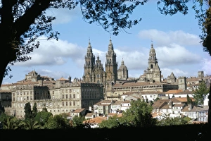 European Cathedral Prints: Cathedral from the park