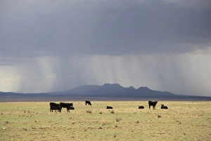 New Mexico Ranch Print with Stormy Sky