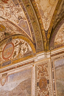 Tuscany European Landmarks Prints: Ceiling detail