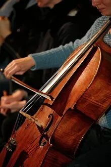 Images Dated 29th December 2007: Cello player, Geneva, Switzerland, Europe
