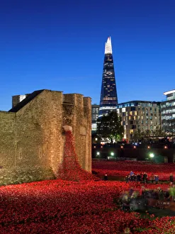 Ceramic poppies forming the installation Blood Swept Lands and Seas of Red to remember the Dead of the First World War Ceramic poppies forming the installation Blood Swept Lands and Seas of Red to remember the Dead of the First World War