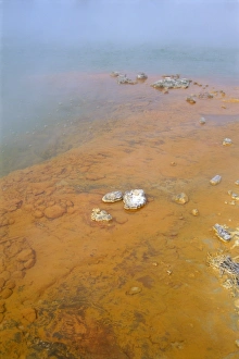 Pacific Ocean Rock Formation Prints: Champagne Pool