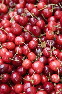 Cherries, market, Old Town, Prague, Czech Republic, Europe Cherries, market, Old Town, Prague, Czech Republic, Europe