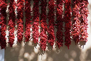 Images Dated 18th January 2000: Chili Ristras Print, Chimayo, New Mexico