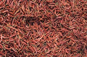 Chilli Peppers Prints: Chilli peppers