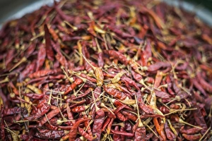 Chillies, Mrauk U market, Rakhine State, Myanmar (Burma), Asia Chillies, Mrauk U market, Rakhine State, Myanmar (Burma), Asia