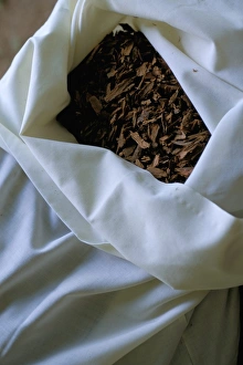 Indian Ocean Photography Prints: Cinnamon bark