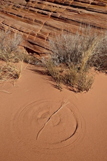 American Geology Formations Prints: Circle in red sand created by a rotating twig
