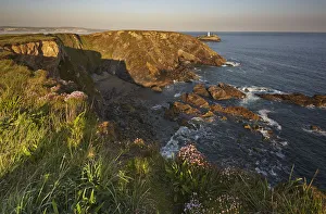 The cliffs of Godrevy Point, with Godrevey Island and Lighthouse beyond The cliffs of Godrevy Point, with Godrevey Island and Lighthouse beyond