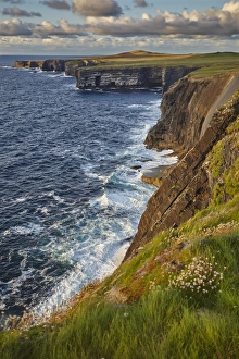 The cliffs at Loop Head, near Kilkee, County Clare, Munster, Republic of Ireland, Europe The cliffs at Loop Head, near Kilkee, County Clare, Munster, Republic of Ireland, Europe