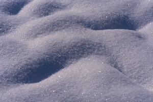 Switzerland Winter Landscape Prints: Close up of snow