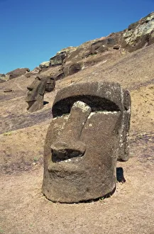 Close-up of moai heads still within the crater from where they were quarried Close-up of moai heads still within the crater from where they were quarried