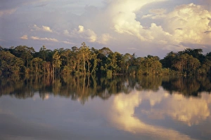 Cloudy Countryside View Prints: Clouds reflected in the Sepik River