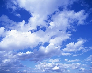 Blue Skies Photography Prints: Cloudscape of puffy white clouds in a blue sky