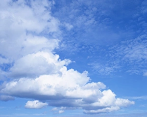 Natural World Landscapes Prints: Cloudscape of white clouds in blue skies