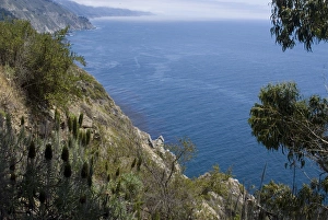 Daytime Beach Photography Prints: Coastline view