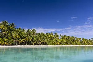 Coconut palm trees line the beach on One Foot Island, Aitutaki, Cook Islands, South Pacific Islands Coconut palm trees line the beach on One Foot Island, Aitutaki, Cook Islands, South Pacific Islands