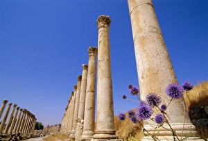 Jordanian Historical Landmarks Prints: Columns of the Cardo