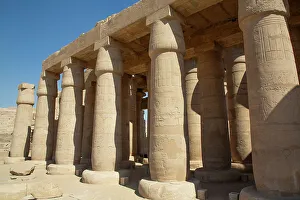 Ramesseum Temple Prints: Columns, Hypostyle Hall, Ramesseum