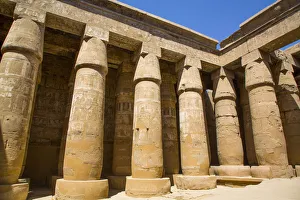 Luxor Columns Print