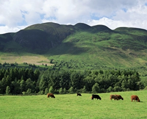 UK Mountain Views Prints: Conic Hill