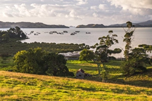 Countryside at Coromandel Town, Coromandel Peninsula, North Island, New Zealand, Pacific Countryside at Coromandel Town, Coromandel Peninsula, North Island, New Zealand, Pacific