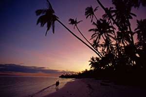 Couple and palm trees on Alona Beach silhouetted at Couple and palm trees on Alona Beach silhouetted at