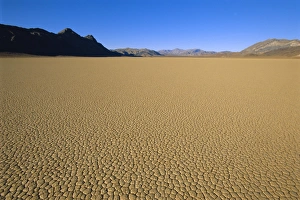 Death Valley Landscape Photography Prints: Cracked mud flats