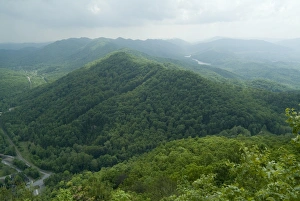 High Angle View Of Woods Prints: Cumberland Gap