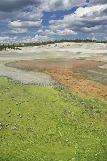 Norris Geyser Basin Prints: D2x070604145