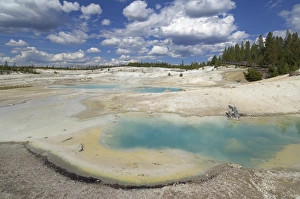 Norris Geyser Basin Prints: D2x070604249