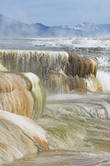 Mammoth Hot Springs Wyoming Prints: D2x070605217