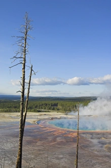 Midway Geyser Basin Prints: D2x070607119