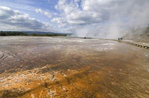 Midway Geyser Basin Prints: D2x070607167